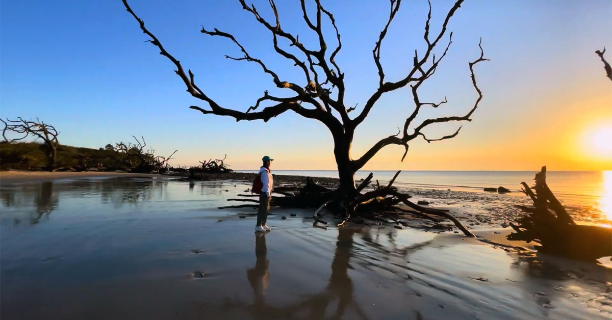 Driftwood Beach, Jekyll Island, Georgia, USA
