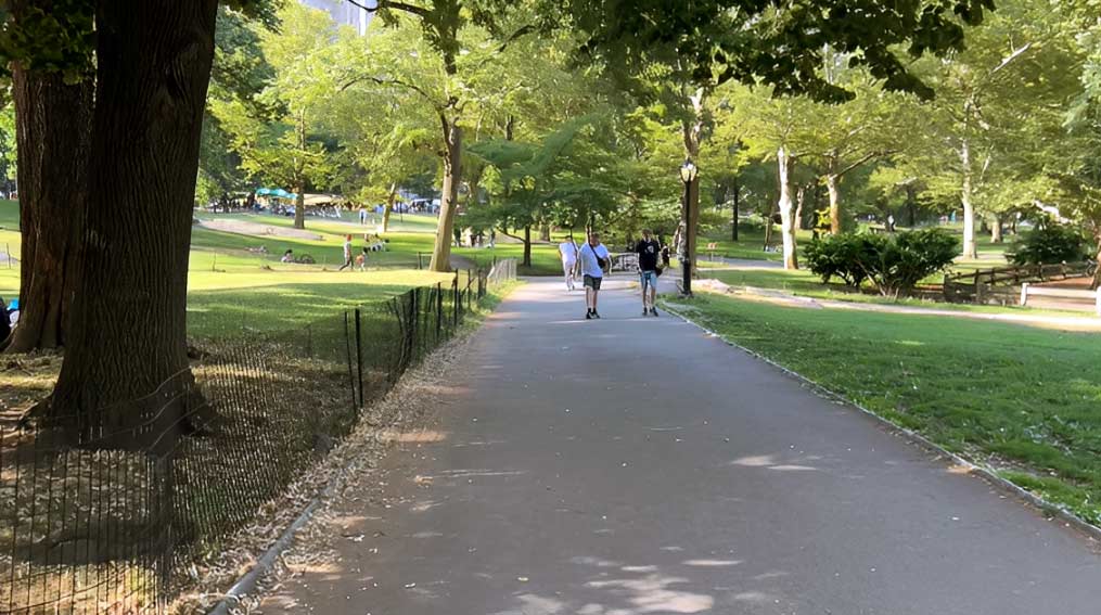 Central Park