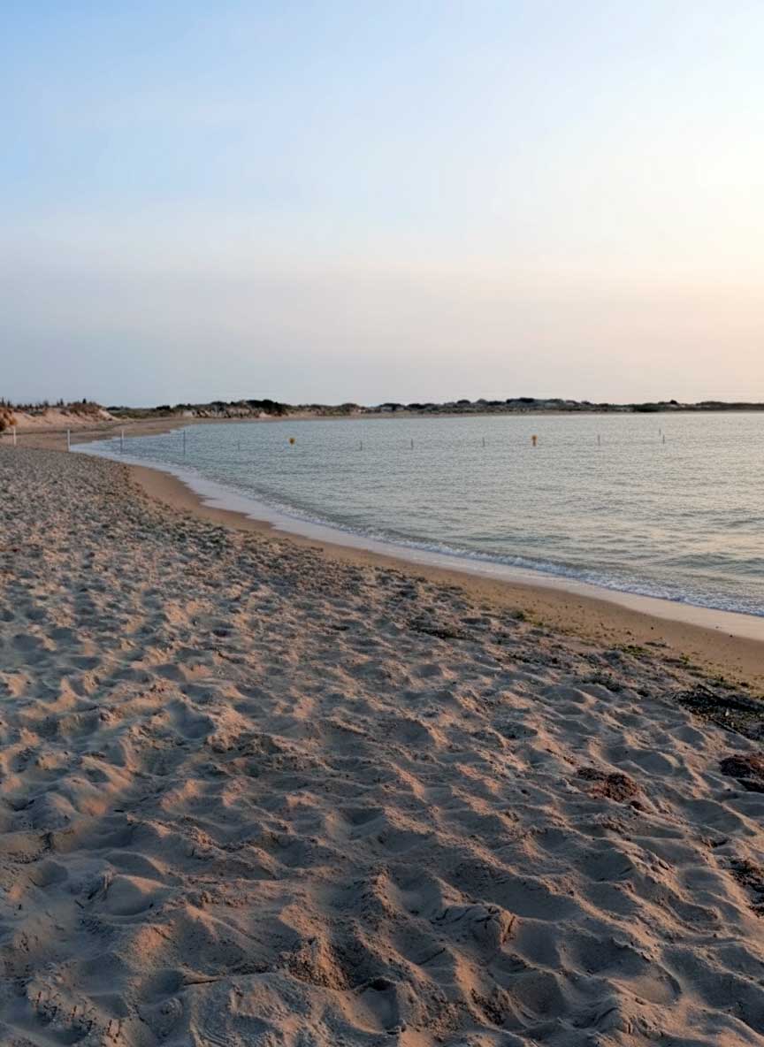 Fun Vacation Spots for Young Adults in the US