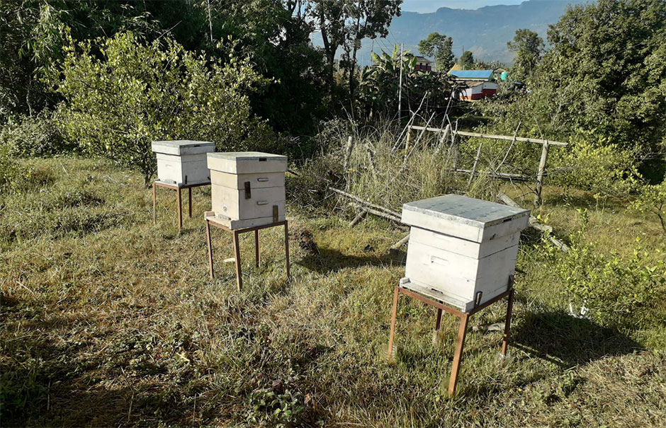 beehives for bee farming 