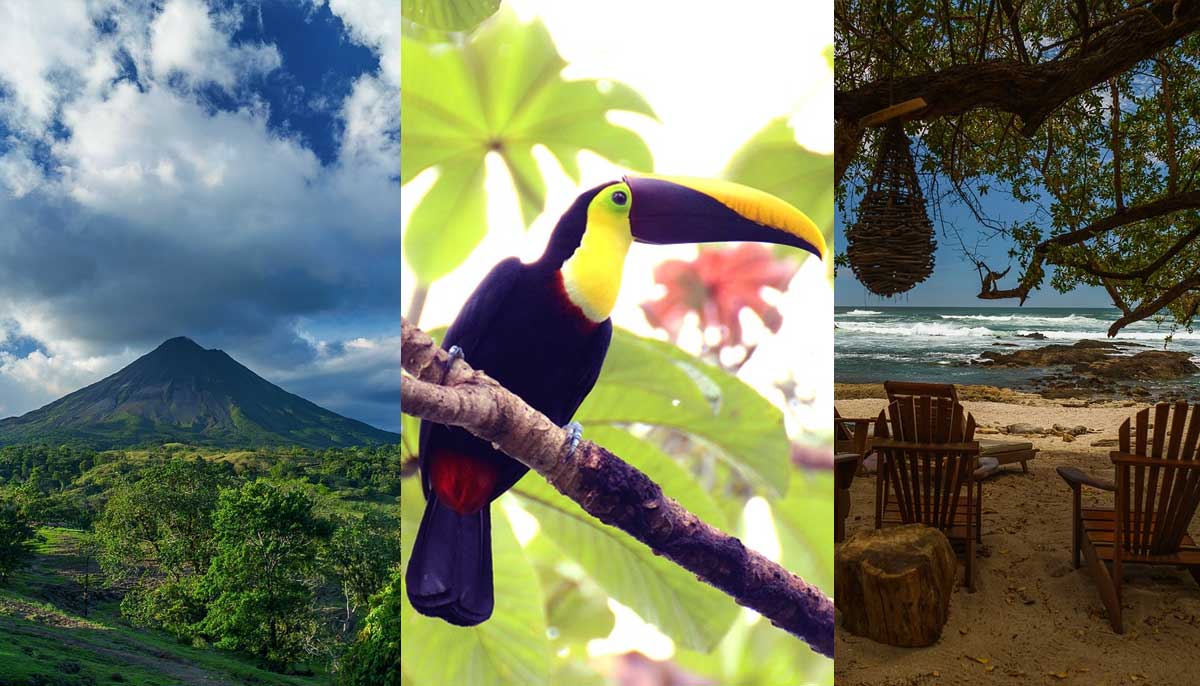 Best time to Visit Costa Rica 2024  