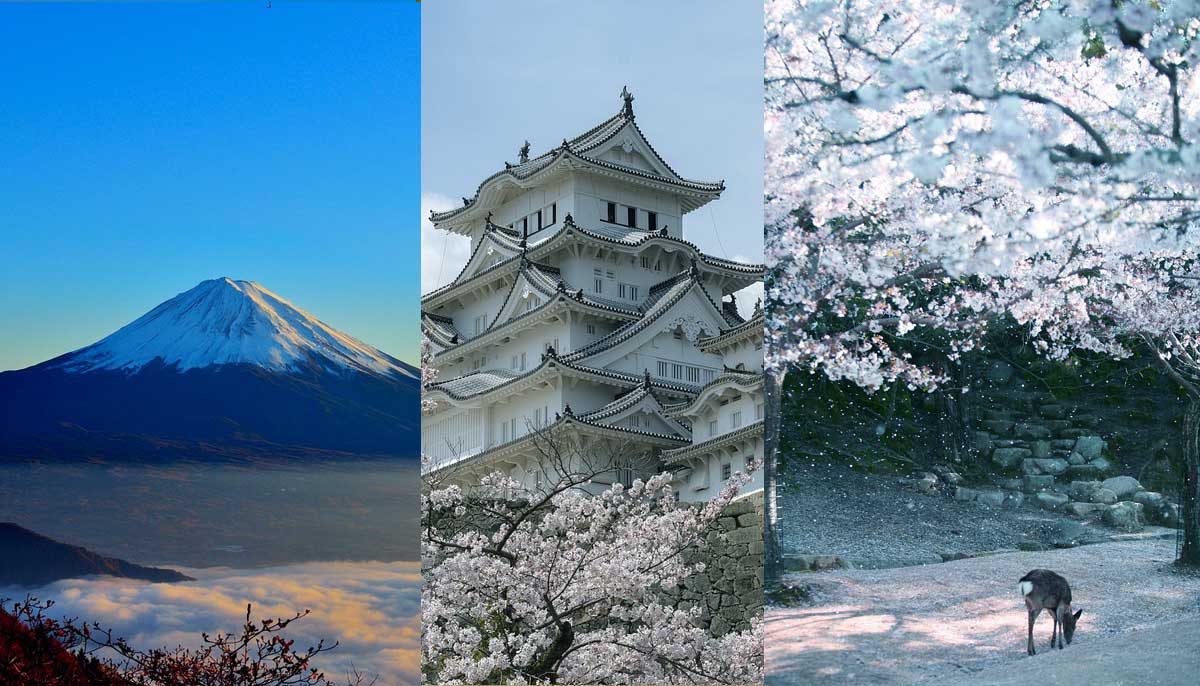 Best Time to Visit Japan in 2024  