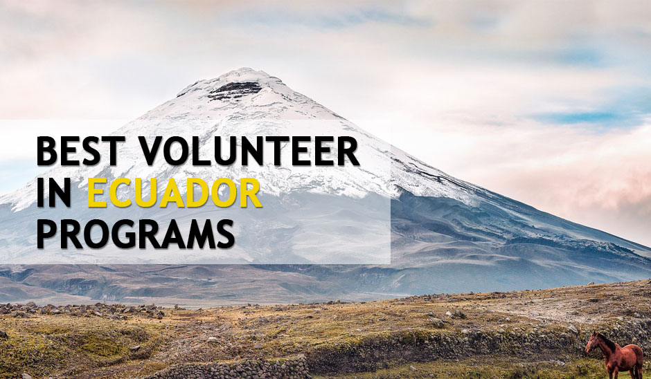 Best volunteer in Ecuador programs, opportunities, organizations and projects for  2023