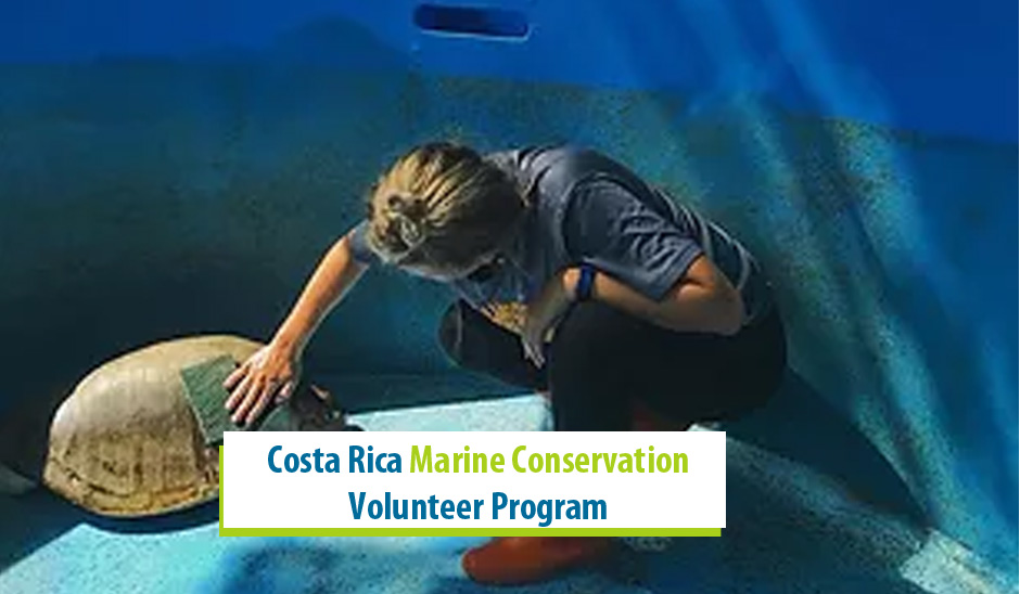 Costa Rica Marine Conservation Volunteer Program 