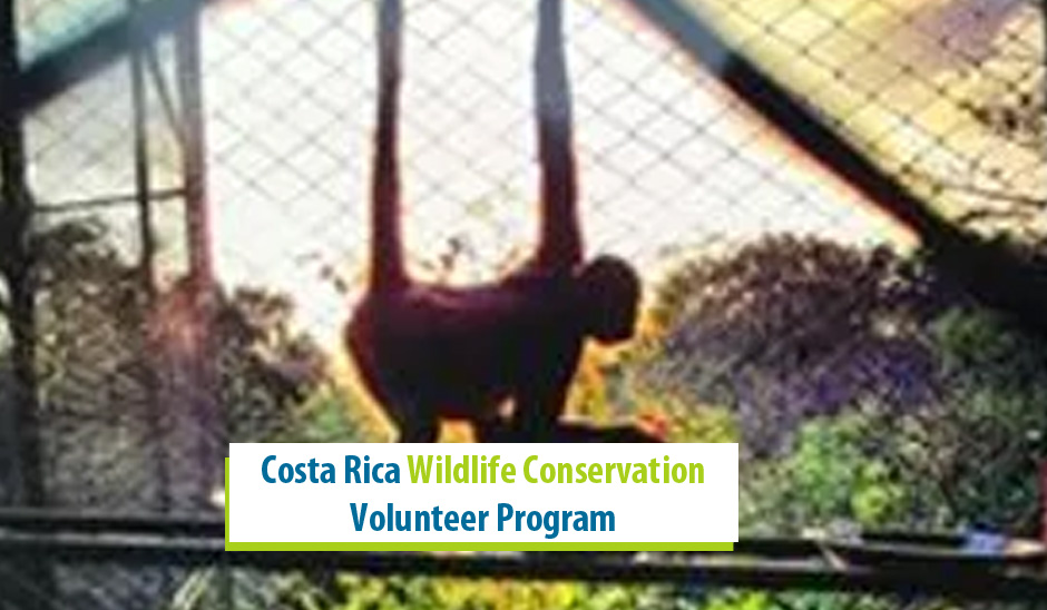 Costa Rica Wildlife Conservation Volunteer Program 