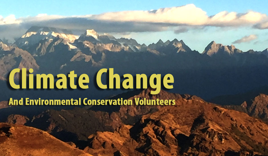 Environmental Conservation Volunteer Programs of 2023 and 2023 that You Can Join to Limit the Climate Change  