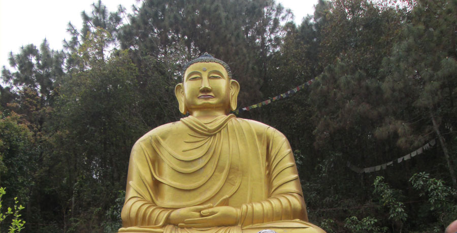 Freiwilligenarbeit und Leben in einem buddhistischen Kloster: Bleiben Sie mit Frieden und Mitgefühl verbunden