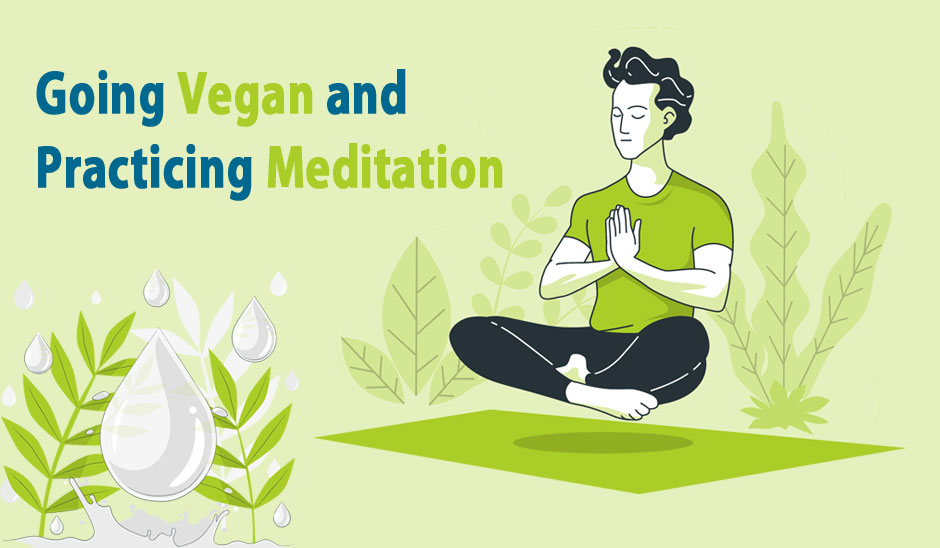Going Vegan and Vegetarian, Practicing Meditation: A Spiritual Journey