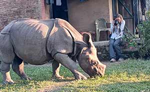 My Wildlife Photography Volunteering Adventure in Nepal