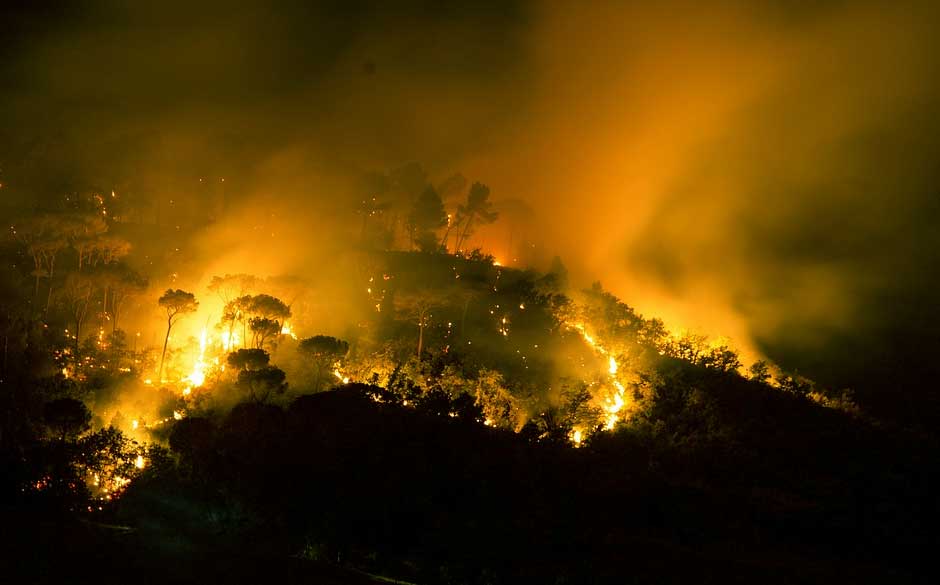 How to Help Chile Forest Fire Victims and Survivors 