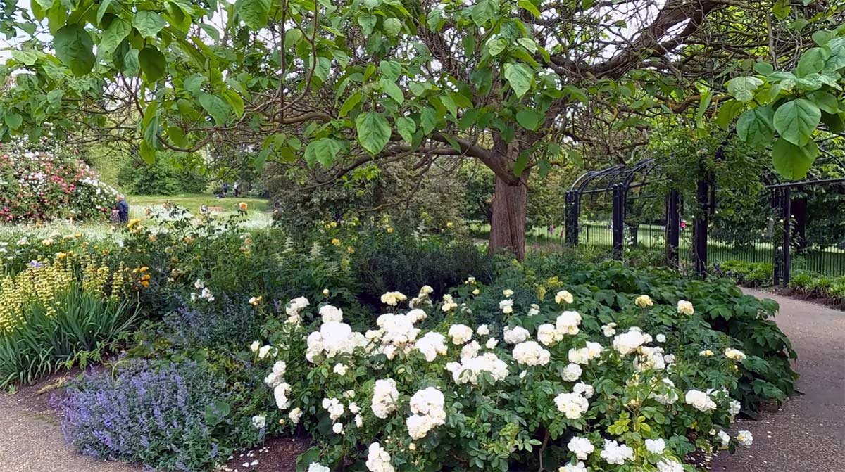 Hyde Park