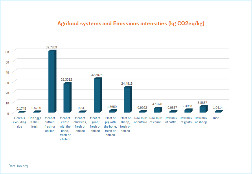 infographics agrifood system gas emissions