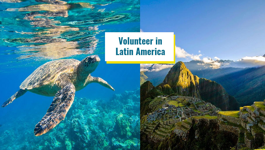 Best  International Volunteer opportunities Latin America