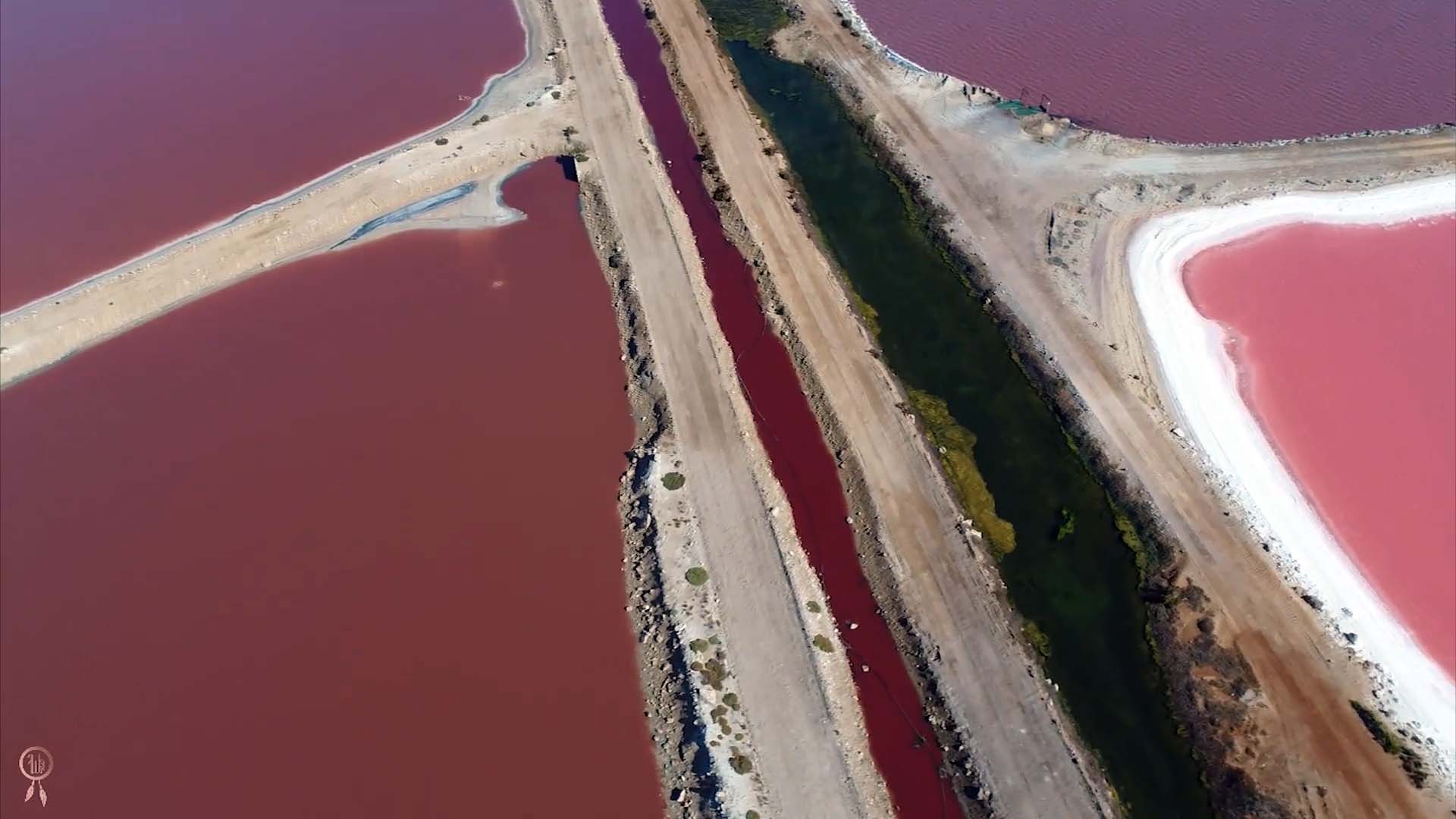 australian lakes can turn into bubblegum pink