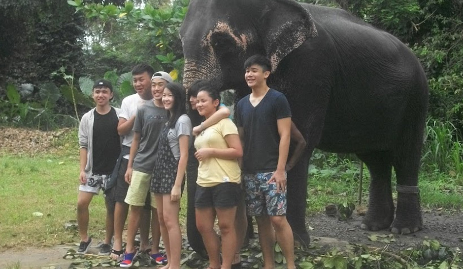 Sri Lanka Elephant Care Volunteer Program 