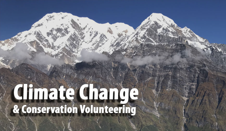 Stop Climate Change: Top 10 Conservation Volunteer and Internship Programs 