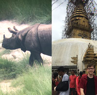 A Rhino in The City: My Memorable Moment While Volunteering in Nepal 