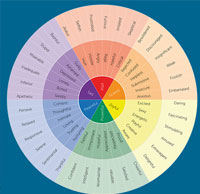 Exploring Feelings Wheel to Understand Your Emotions