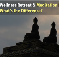 Wellness Retreat and Meditation Retreat   