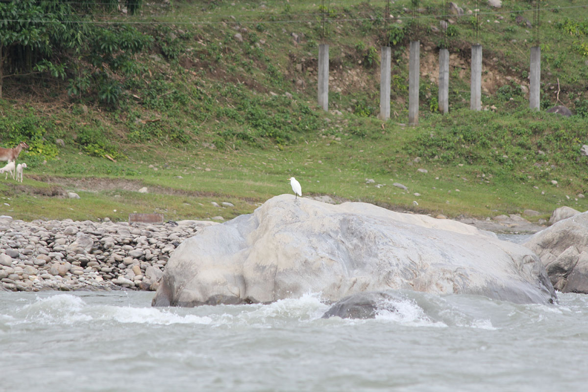 trishuli river before flood