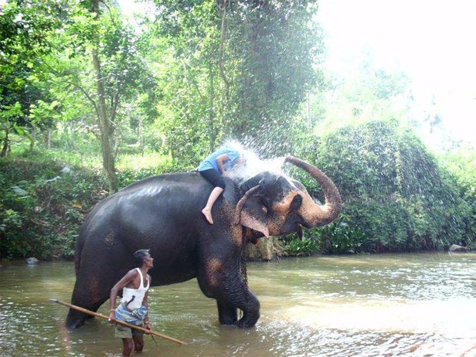 a volunteer in sri lanka bathing elephant 