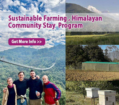 Banner Sustainable Farming , Himalayan Community Stay & Volunteer Program